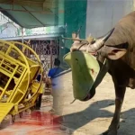 Suasana Penyembelihan Qurban di Masjid Al Jihad Banjarmasin