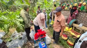 Universitas Muhammadiyah Magelang (UNIMMA) Olah Limbah Pampers Jadi Media Tanam Ramah Lingkungan