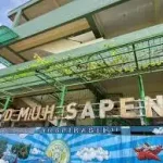 Pakar Ungkap Alasan SD Muhammadiyah Sapen Diminati, Bukti Kontribusi Besar Muhammadiyah di Bidang Pendidikan