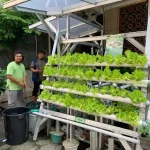 Dosen Muhammadiyah Ciptakan Inovasi Sistem Akuaponik Dengan Memanfaatkan Air Wudhu