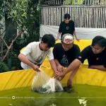 Mahasiswa Universitas Muhammadiyah Malang Kenalkan Bioflok, Solusi Budidaya Ikan di Lahan Terbatas