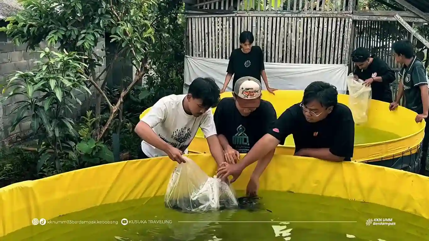 Mahasiswa Universitas Muhammadiyah Malang Kenalkan Bioflok, Solusi Budidaya Ikan di Lahan Terbatas