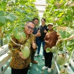 Panen Raya, Startup Inofarm Binaan UMY Perkuat Komitmen Dukung Ekosistem Kewirausahaan Bidang Agrowisata