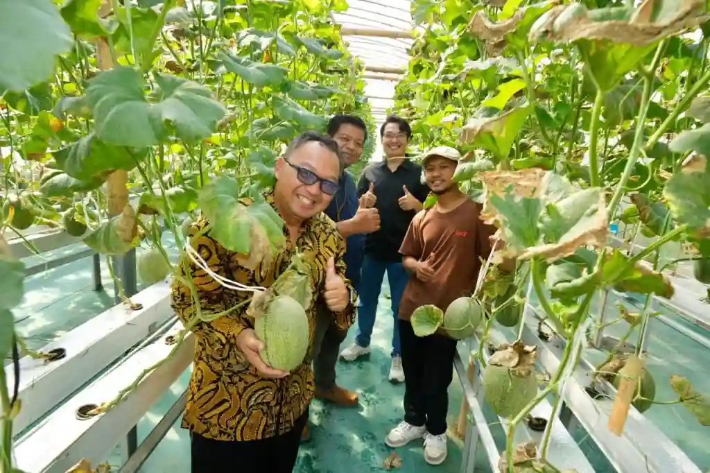 Panen Raya, Startup Inofarm Binaan UMY Perkuat Komitmen Dukung Ekosistem Kewirausahaan Bidang Agrowisata